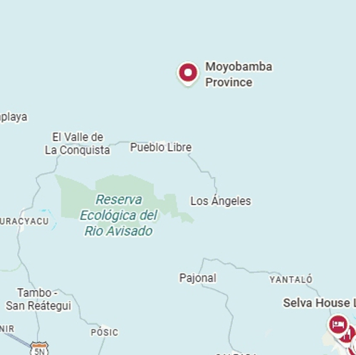 Bailatino2023_Darmstadt